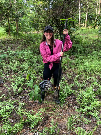 Tree Planting for tourists  in The Borneo Jungle 