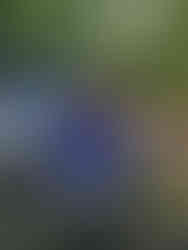 Kate in her Kayak skirt ready to kayak the Marble Caves