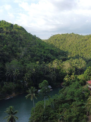 Where To Stay In Bohol