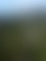 Best Things To Do In Sagada: Sagada Tourist Spots And Activities