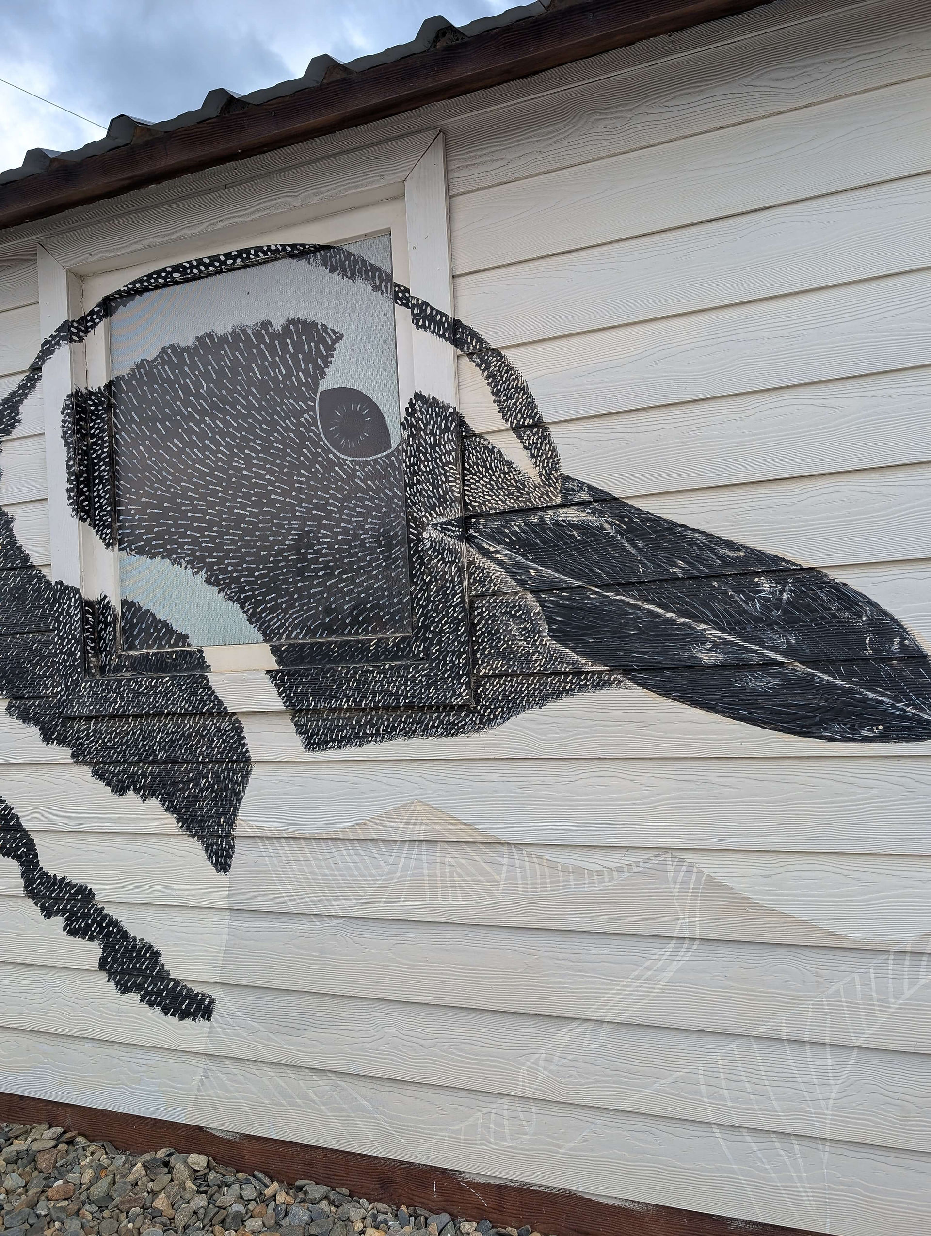 Top things to do in Ushuaia - explore the street art