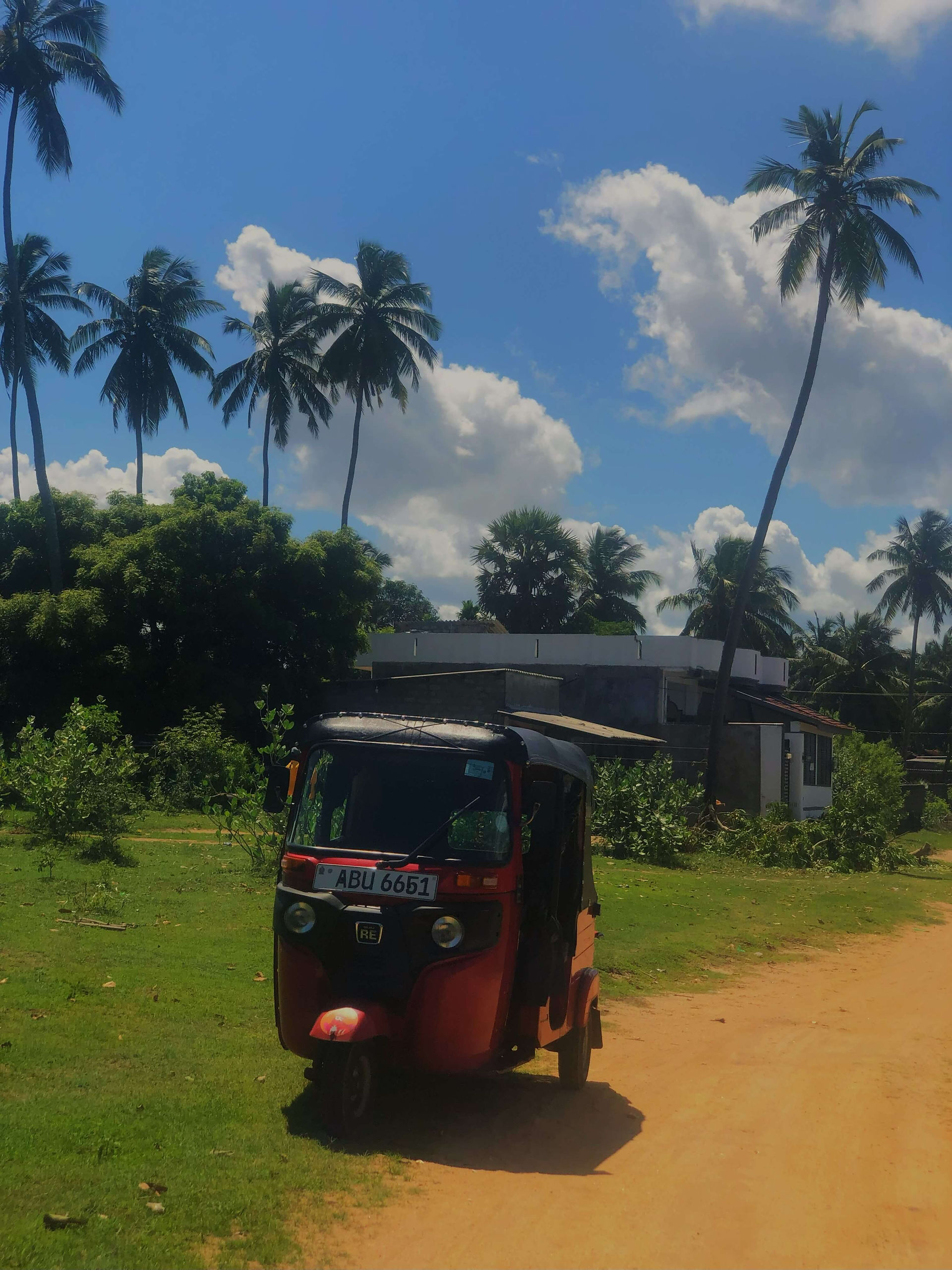 Our tuktuk parked up in the nearby town of Pottuvil, palm trees and blue skies