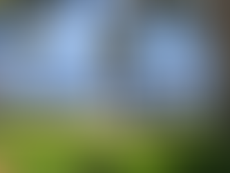 Pacifico Beach Siargao Swing and Tree area with shade