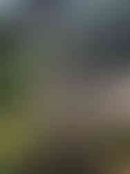 Sign post for Flying Ravana Zipline in Ella