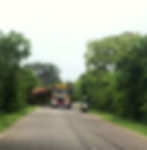 Bus feeding an elephant to get pass on the b35 Elephant Road which runs through Yala National Park