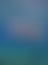 Best Snorkelling Siquijor