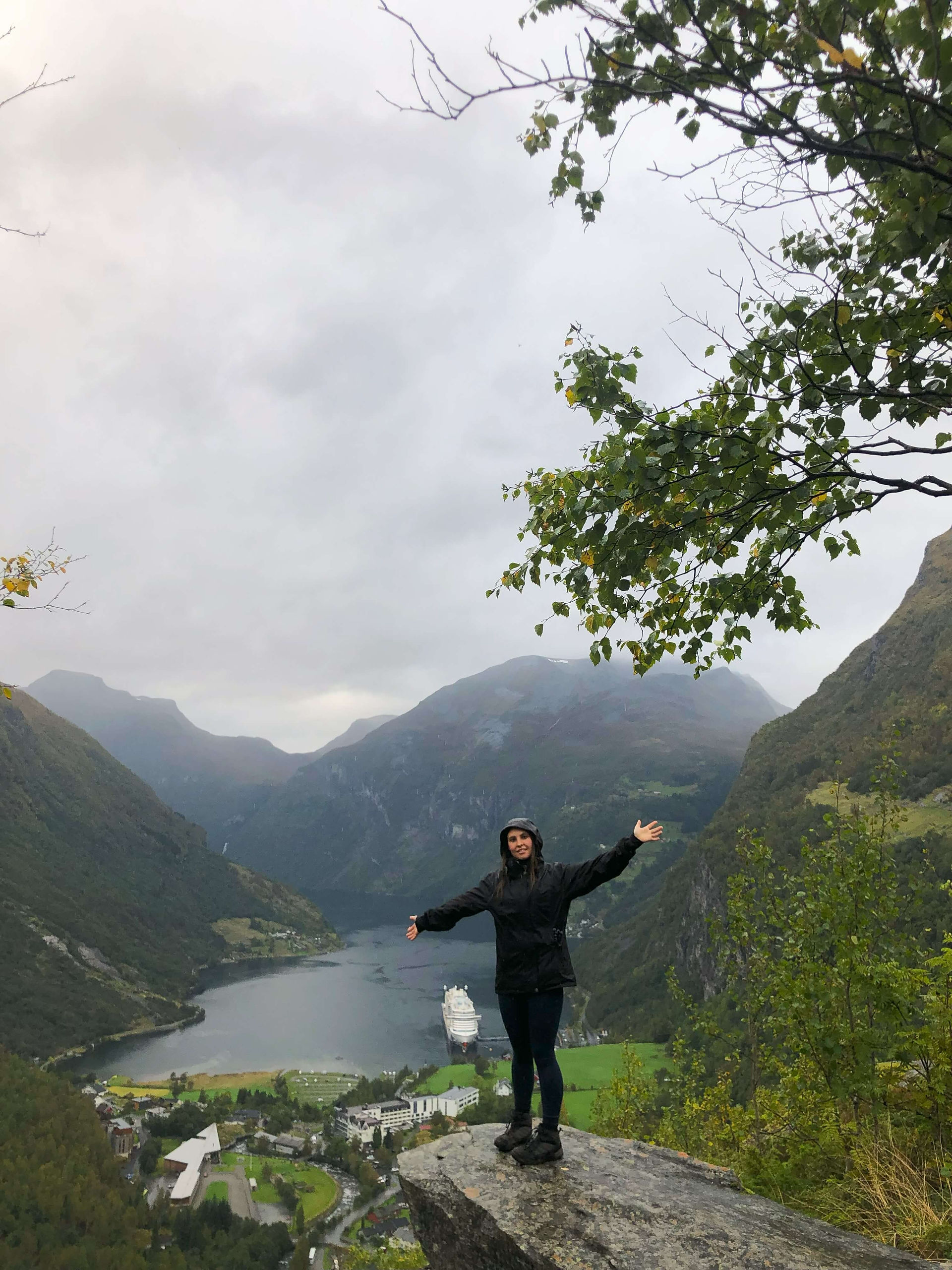 Geirangerfjord viewpoint over the cruise ships