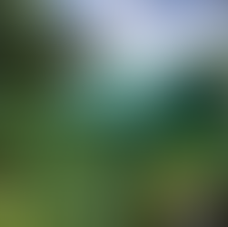 Butterfly Sanctuary Siquijor 