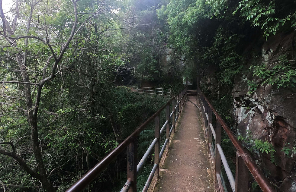 Dunhinda Waterfall Path