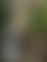 Ravana Falls Ella, Sri Lanka