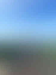 Four friends on the top of Pidurangala with Sigiriya rock in the background