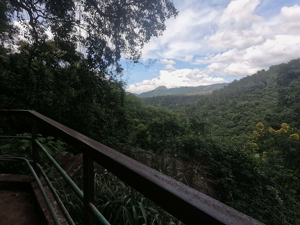 View on the Dunhinda Falls Trek