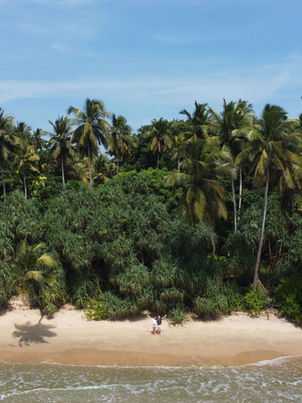 Tangalle Top Things To Do 