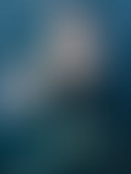 Best Whale Watching Mirissa: Ethical Blue Whale Tour in Sri Lanka