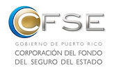 cfse.jpeg