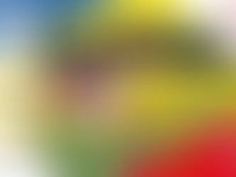 Invitation compétition jeunes CK Dijon