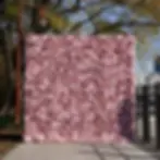 monet_1.webp