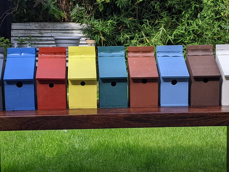 Bird Boxes
