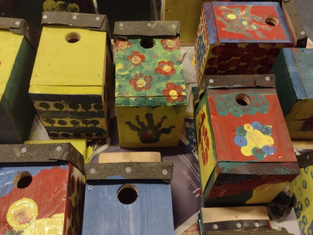 Bird Boxes Painted