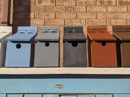 Bird boxes for Village Fete