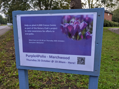 Purple4Polio