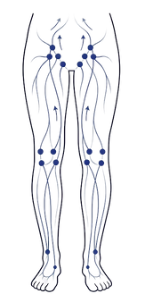 leg-lymphatic-system-illustration.png