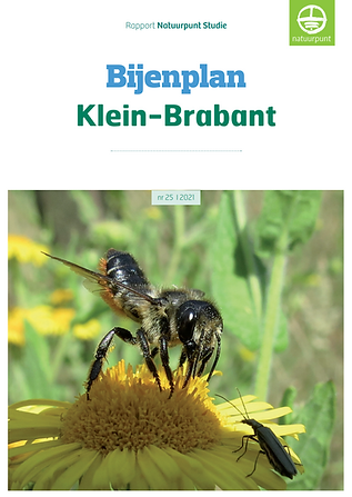 bijenplan-klein-brabant.png