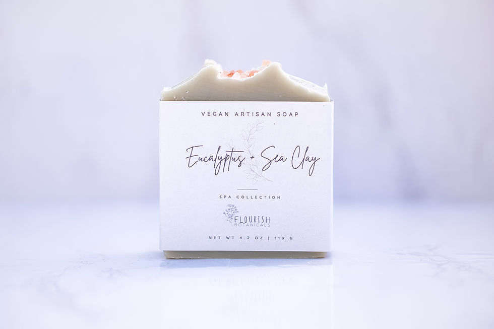 Thumbnail: EUCALYPTUS + SEA CLAY