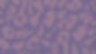 UGC_edited.jpg