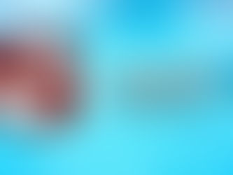 Seaholm Boys Open Search for Head Coach