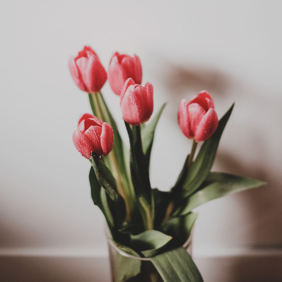 チューリップデザイン