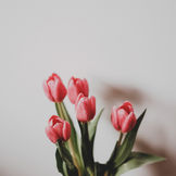 NEWS（お知らせ欄）開設しました。