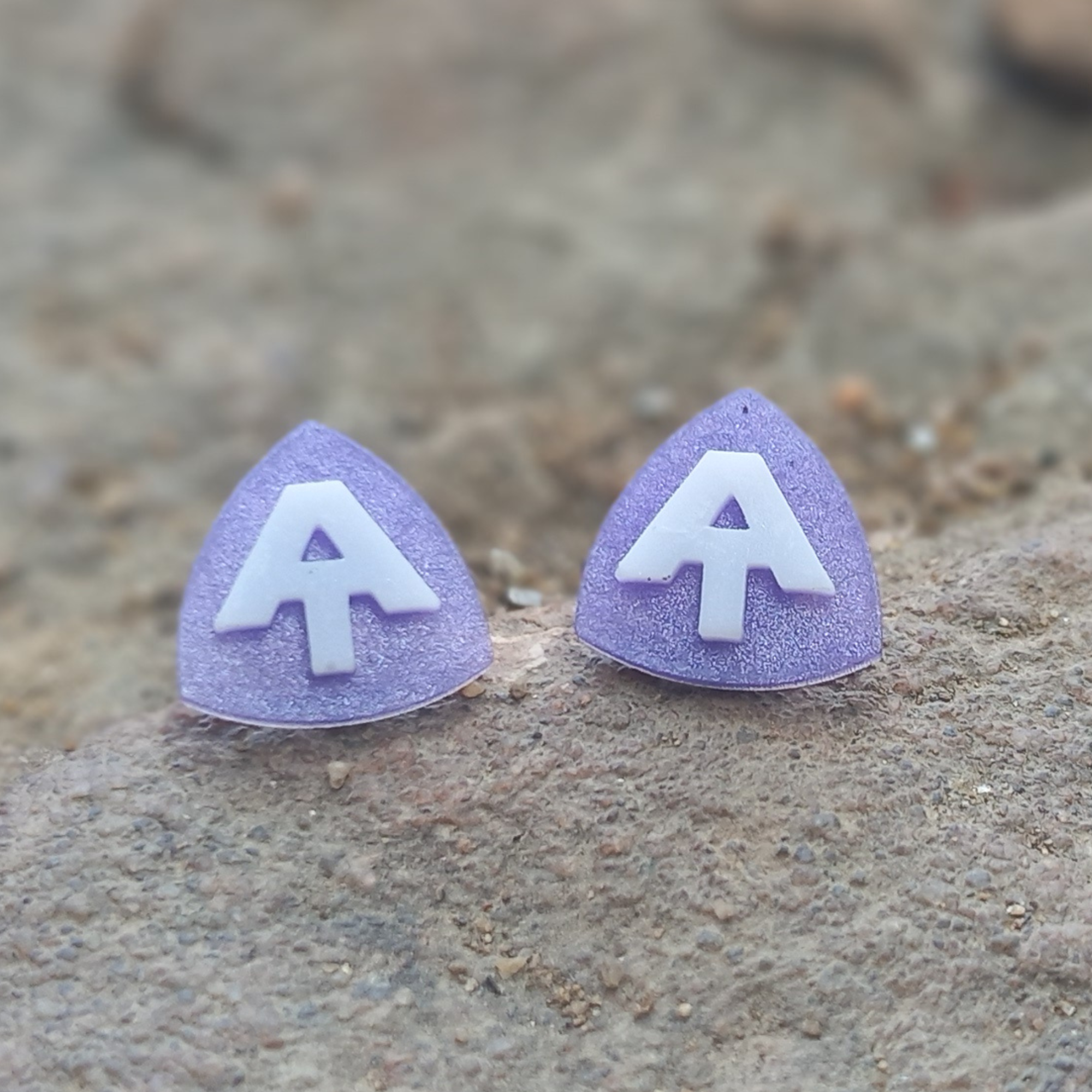 Appalachian Trail Hang Tag stud earrings on a rock