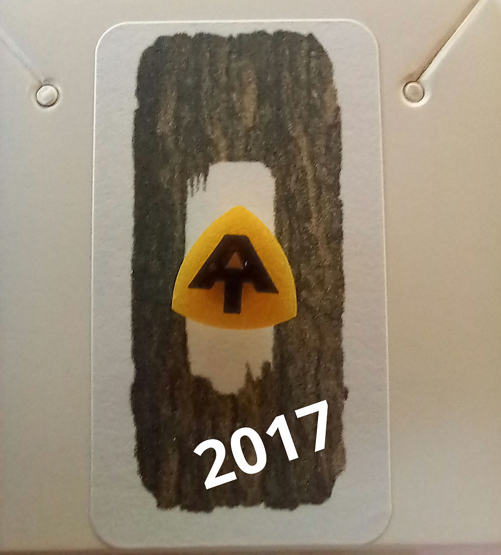 Thumbnail: Appalachian trail pin 2017