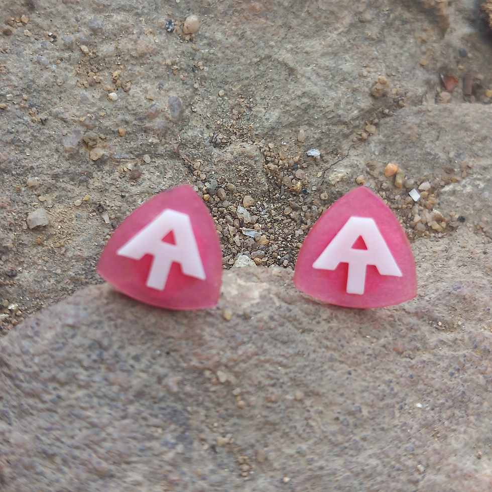Appalachian Trail Hang Tag earrings 2022 on rocks