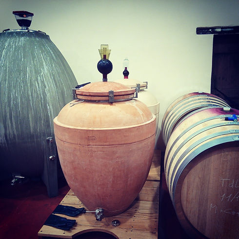 Amphores et barriques.jpg