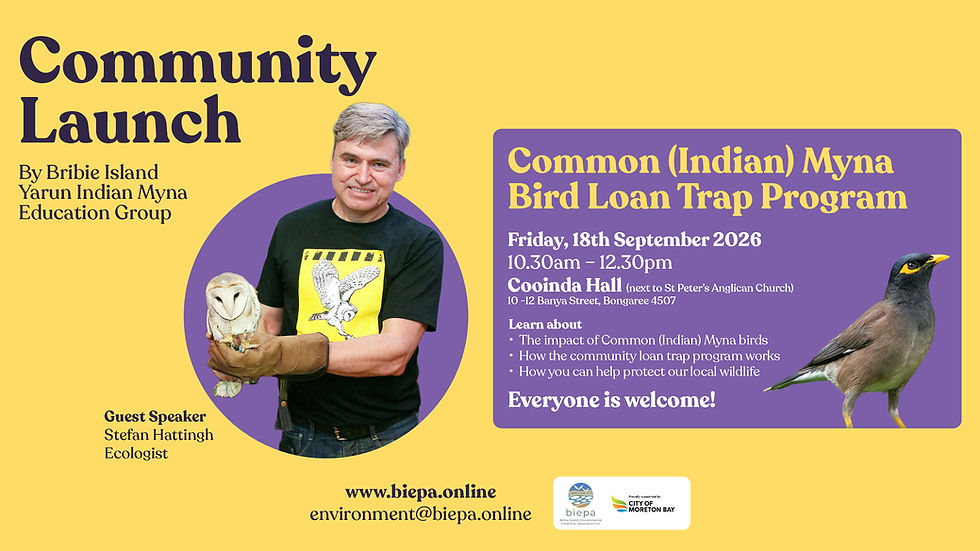 COMMON/Indian MYNA BIRD TRAP-HIRE PROGRAM LAUNCH