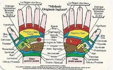 Reflexologie Plantaire Palmaire Essentiel Reflexe