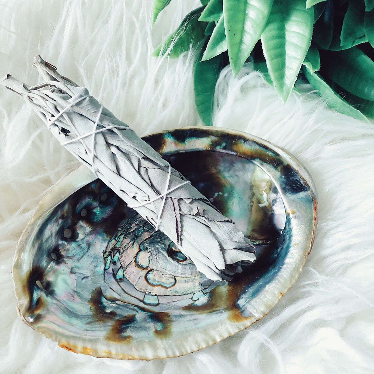 Abalone Shell SMUDGE bowl