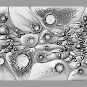 mam Algae-Cellunoi_Front view of cells.j