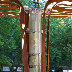 121125_Algae(e)zebo for website_Page_11_