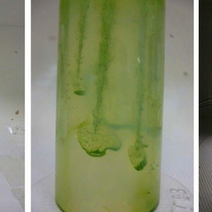 121125_Algae(e)zebo for website_Page_23_