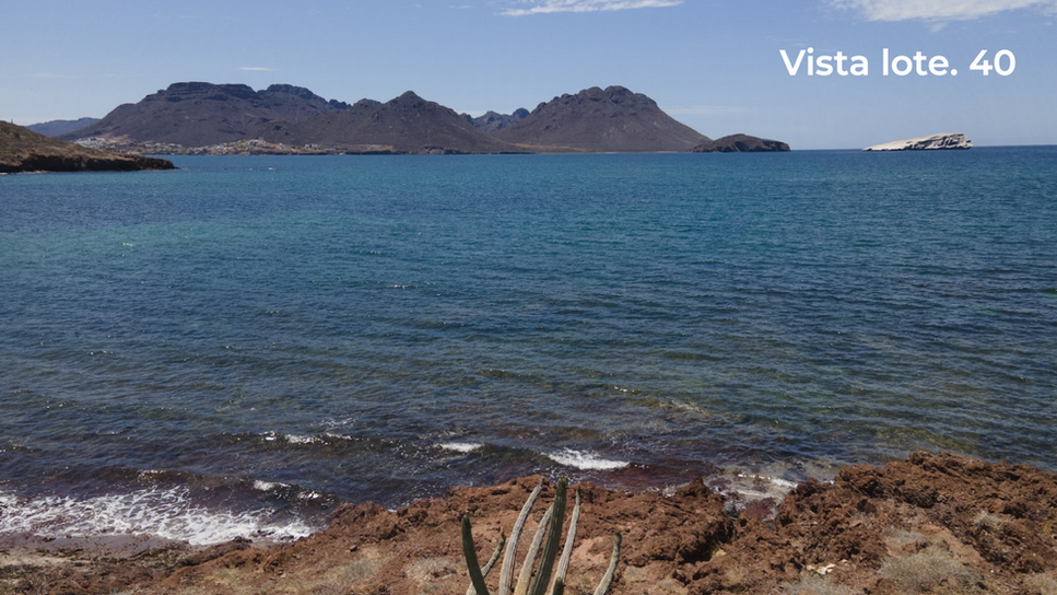 Screen Shot 2022-08-10 at 12.05.03.png