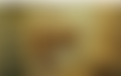 Desain Kamar Tidur Anak Minimalis