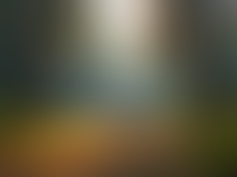 Enhance Your RV Camping Experience at Lake Lauderdale Campground in Cambridge NY