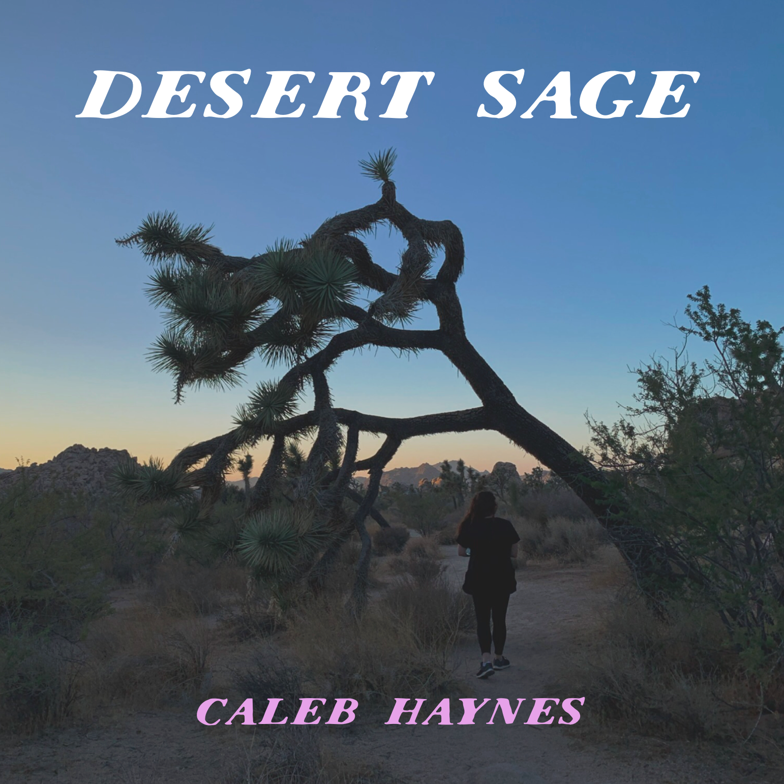 g.e.b.q. digital download