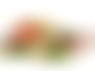 LA DIETA DE LA MAMÁ AMAMANTADORA