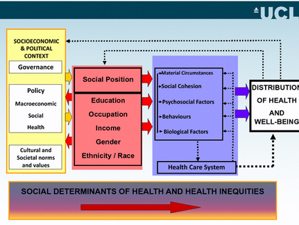 Curated Resources for applying the Ecological Model to TBI