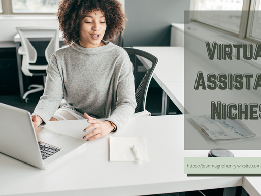 Virtual Assistant Niches