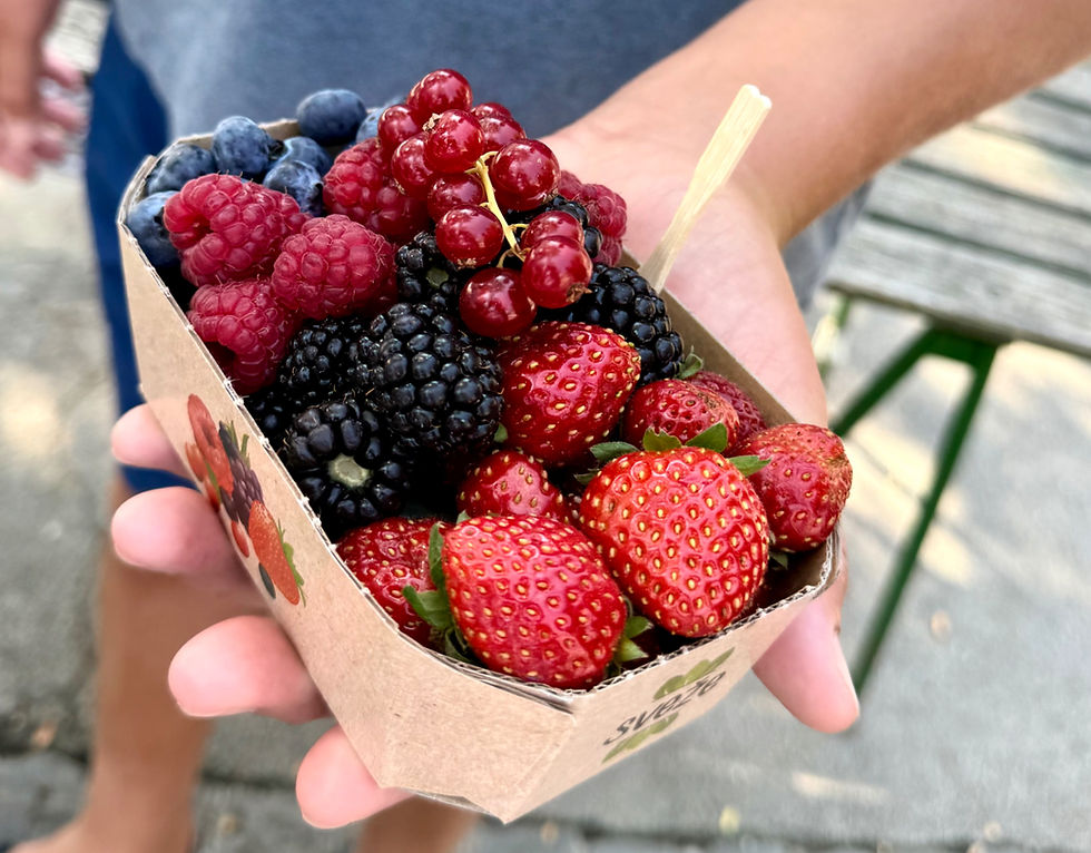 Boy holding fresh mixed berries in container